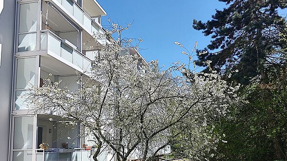 foto zeigt die rückseite eines mehrfamilienwohnhauses